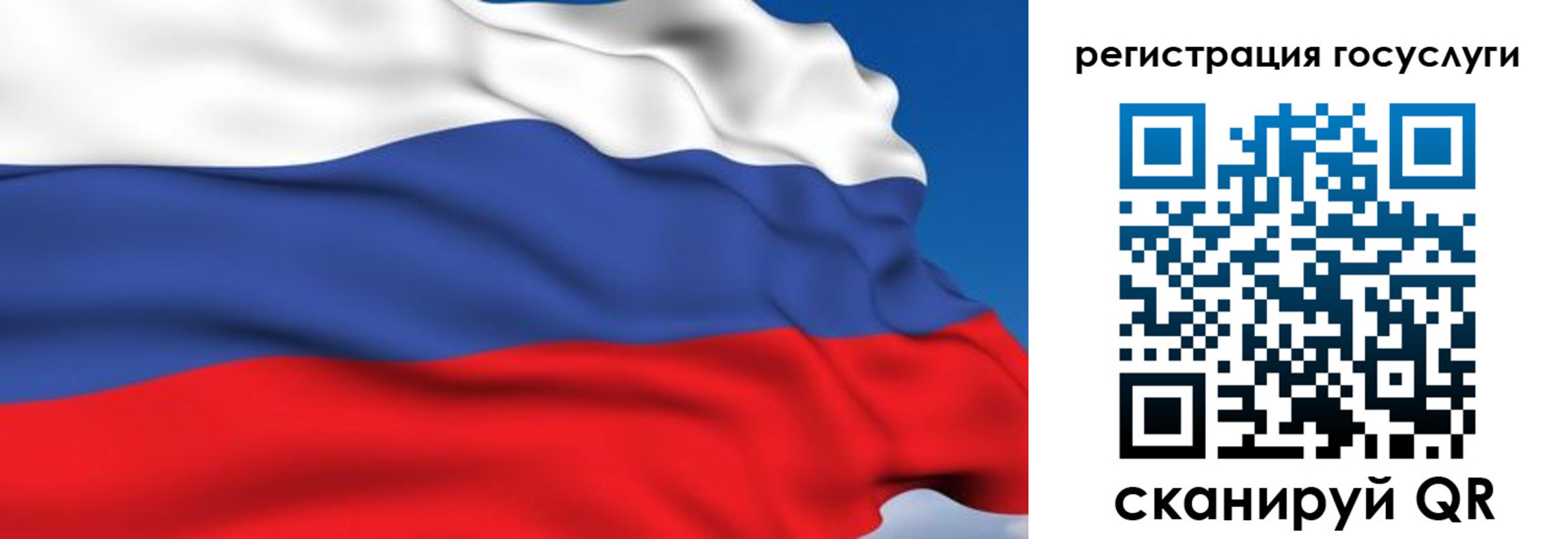 где прописаться в Павловске